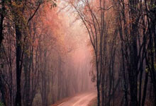 -摩洛哥瓦赫达防线稳固，力拼利物浦全力拿分