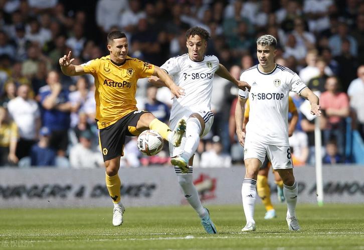 关于利兹联主场失利，保级形势岌岌可危的信息