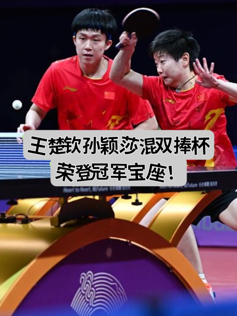 澳大利亚体操选手再登冠军宝座,实力超群 澳大利亚体操选手再登冠军宝座,实力超群